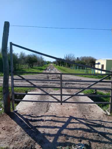 CASA + 1,5 HECTÁREAS EN VENTA | CONSCRIPTO BERNARDI