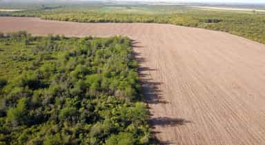 CAMPO EN VENTA | 178 HECTÁREAS