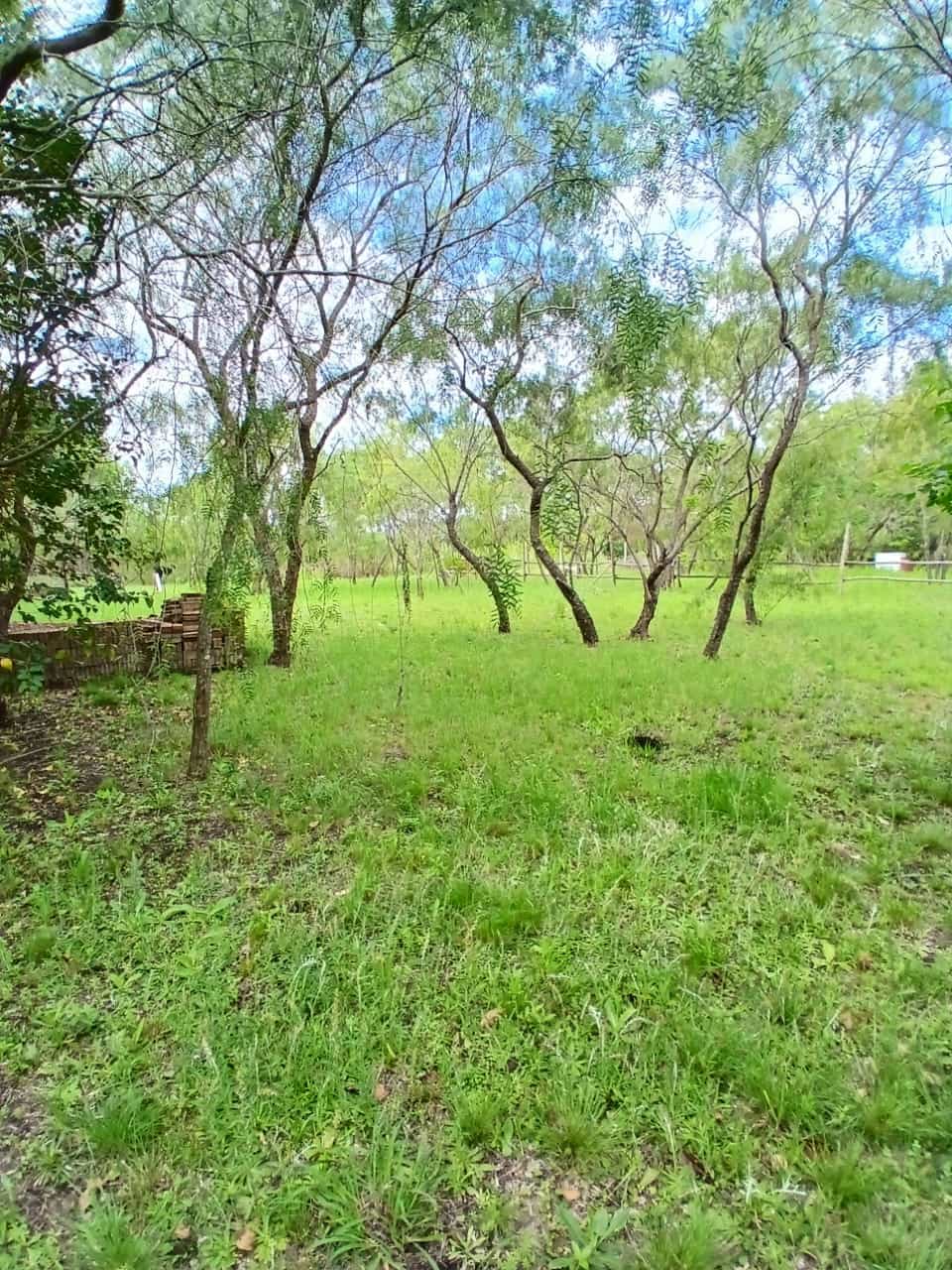 Imagen de la propiedad DOS TERRENOS EN VENTA – LOMAS DEL SAUCE 1