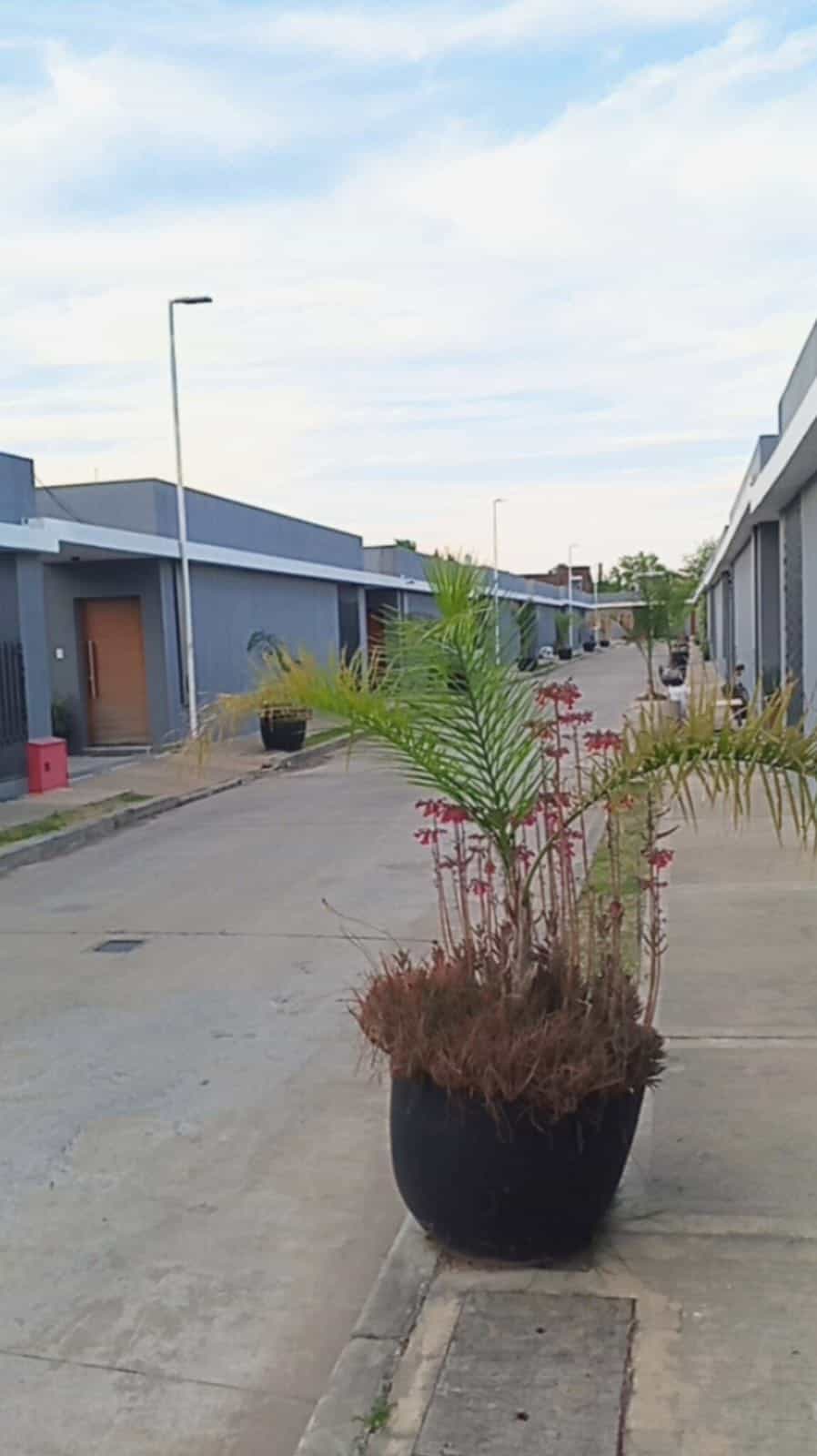 Imagen de la propiedad CASA EN VENTA