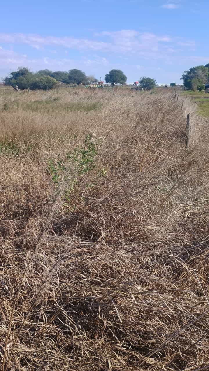 Imagen de la propiedad TERRENO EN VENTA - VILLA URQUIZA