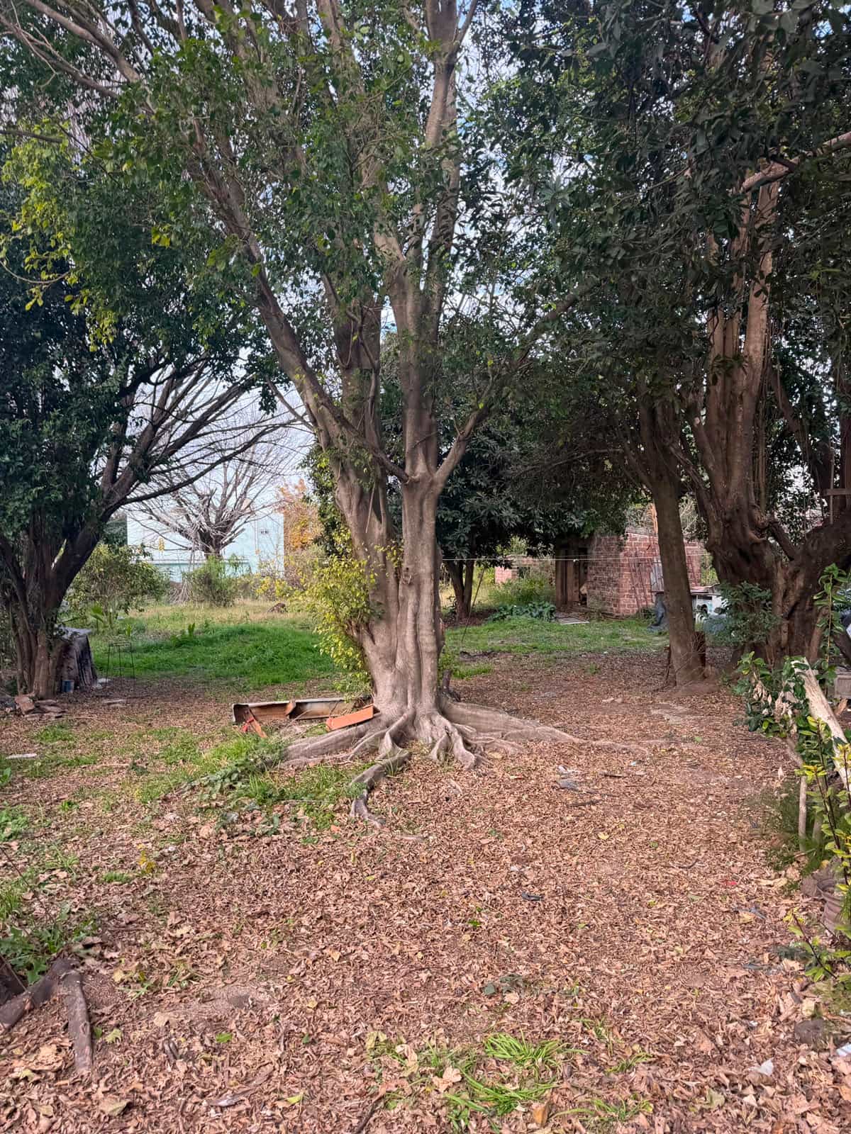 Imagen de la propiedad VENTA | TERRENO – PARANÁ