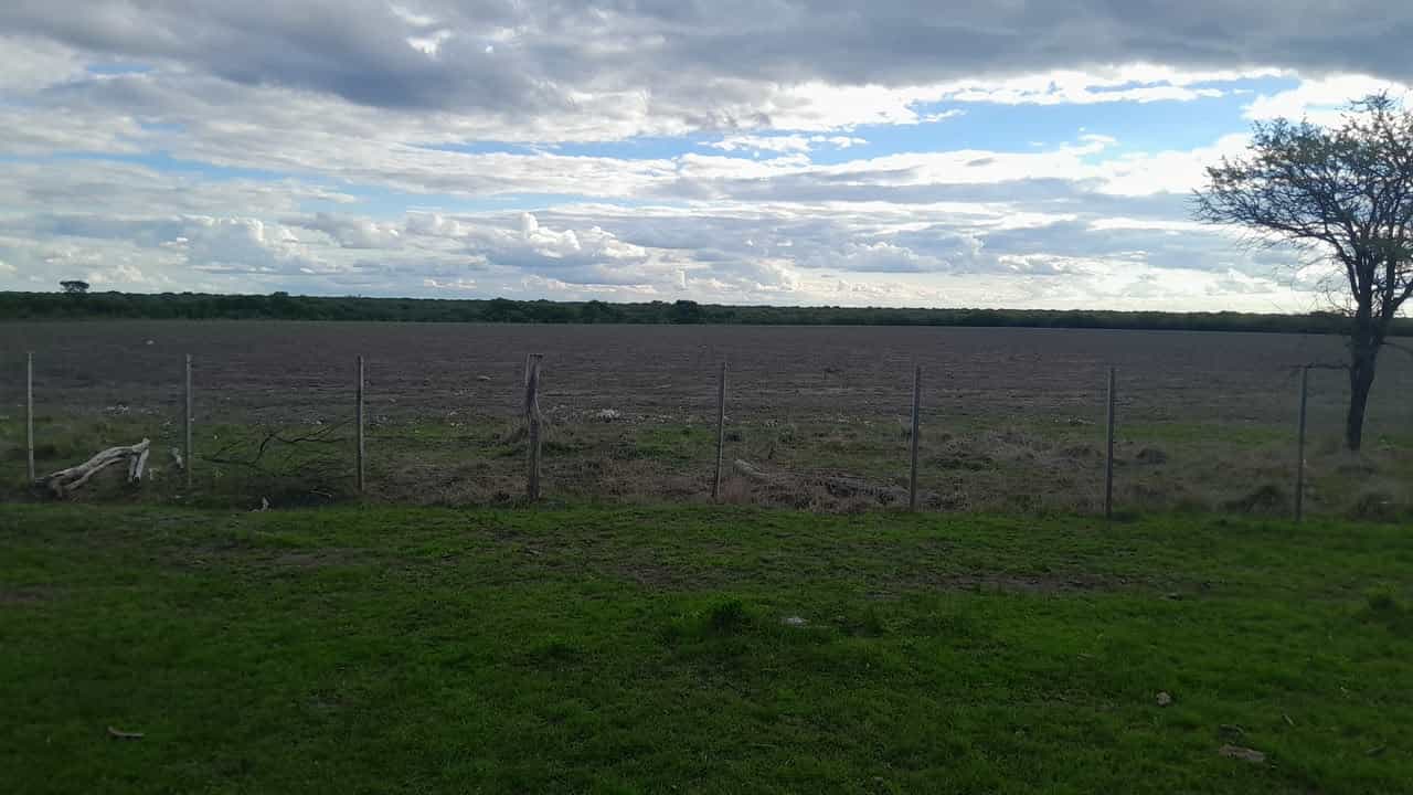 Imagen de la propiedad CAMPO EN VENTA – 100 HECTÁREAS