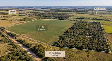 CAMPO EN VENTA | 64 HECTÁREAS