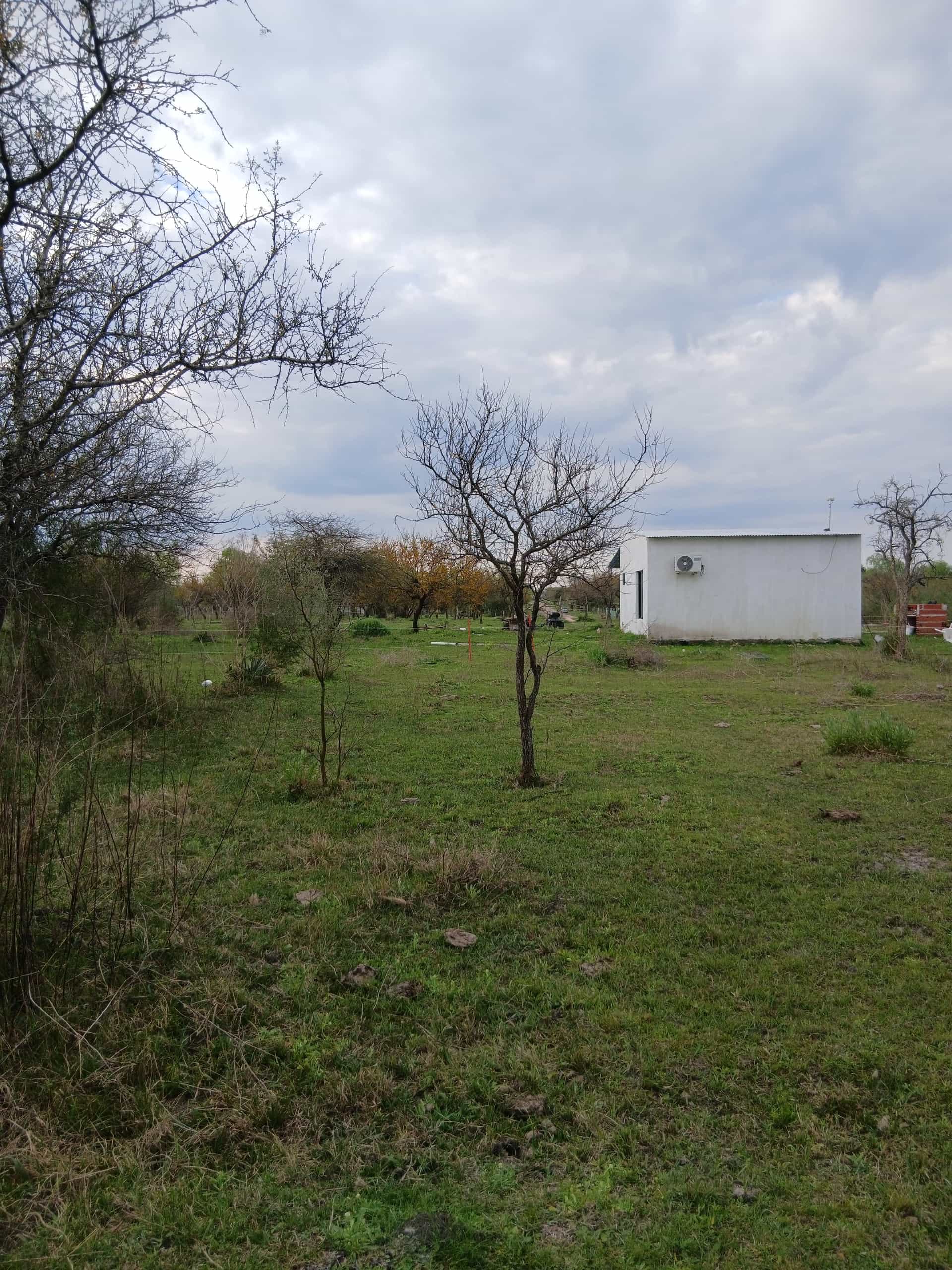 Imagen de la propiedad CASA + 1,5 HECTÁREAS EN VENTA | CONSCRIPTO BERNARDI
