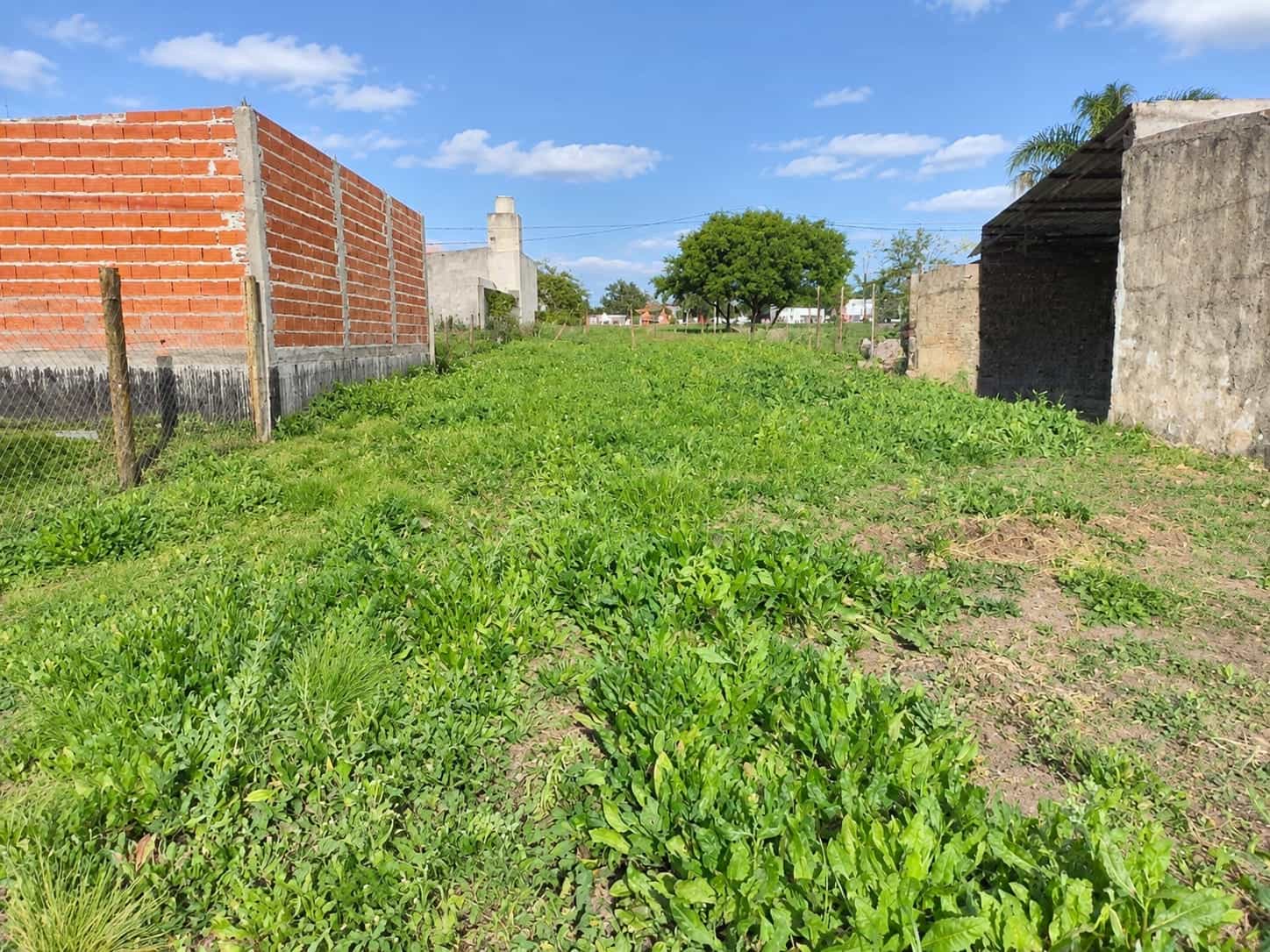 TERRENO EN VENTA – SAN BENITO
