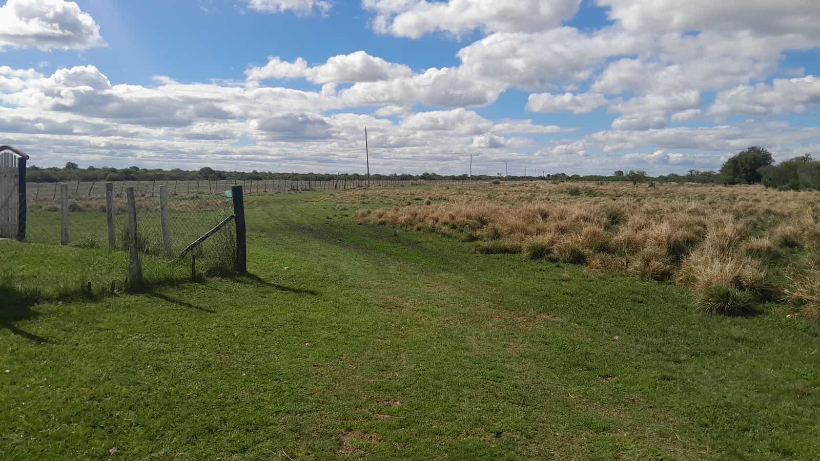 Imagen de la propiedad CAMPO EN VENTA – 100 HECTÁREAS