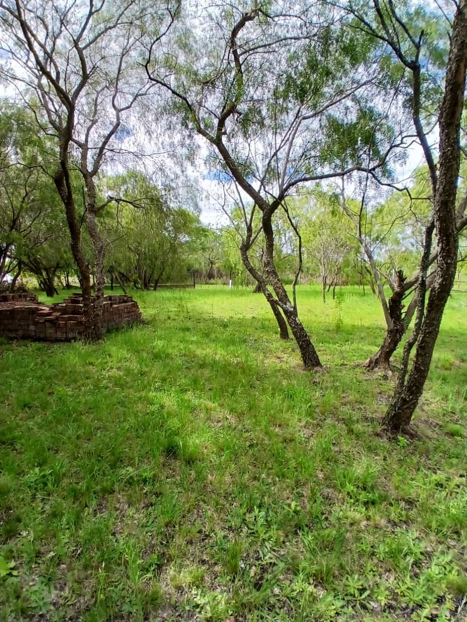 Imagen de la propiedad DOS TERRENOS EN VENTA – LOMAS DEL SAUCE 1