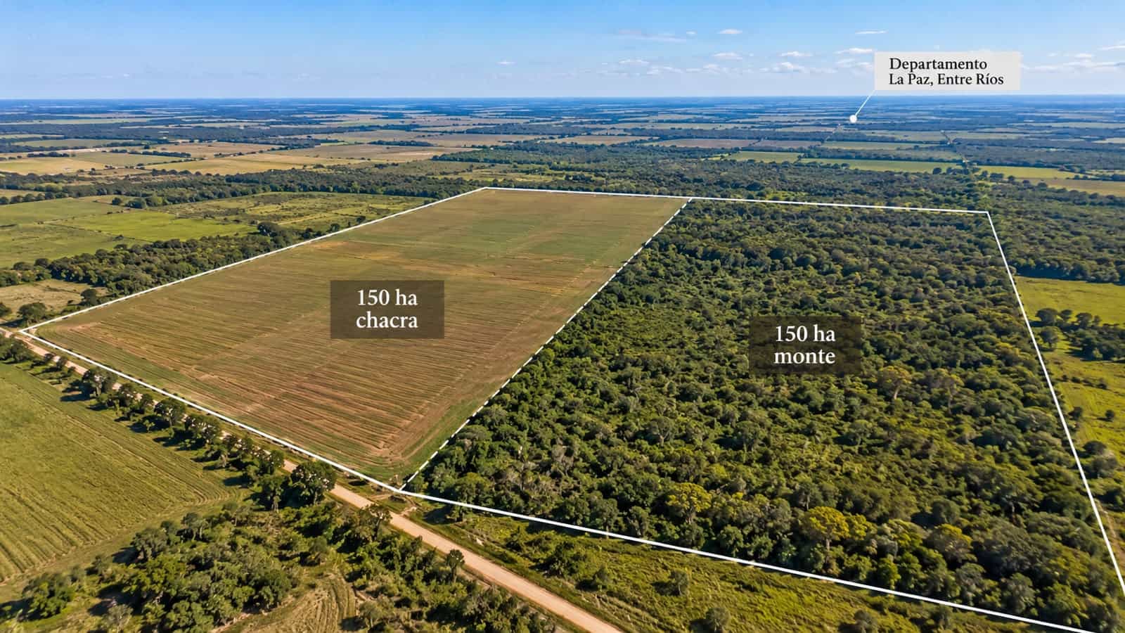 CAMPO EN VENTA | 300 HECTÁREAS